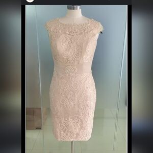 Elegant Lace Dress in Baby Pink